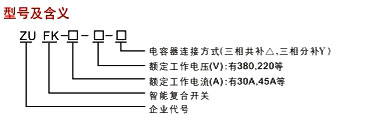 ZUFKϵ�����܏�(f��)���_�P(gu��n)��̖�f��