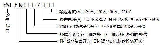 FST-FK���܏�(f��)���_�P(gu��n)