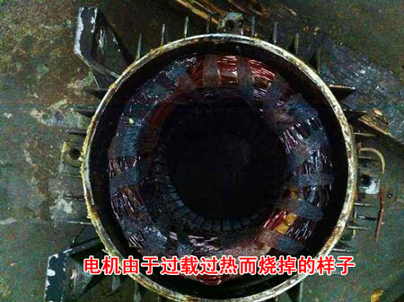 늙C(j��)�^�d������늙C(j��)��������Ȧȫ��